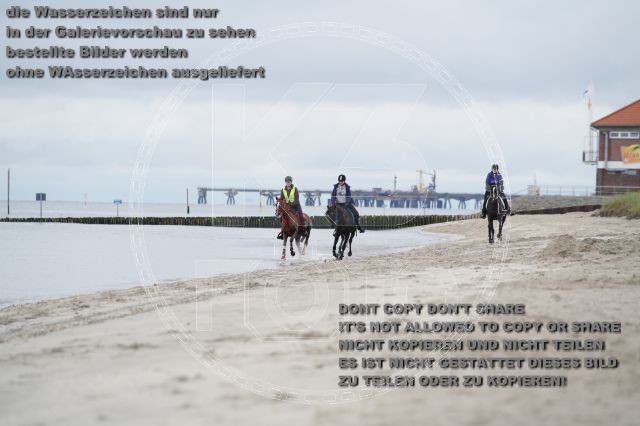 s_K3F04795.JPG